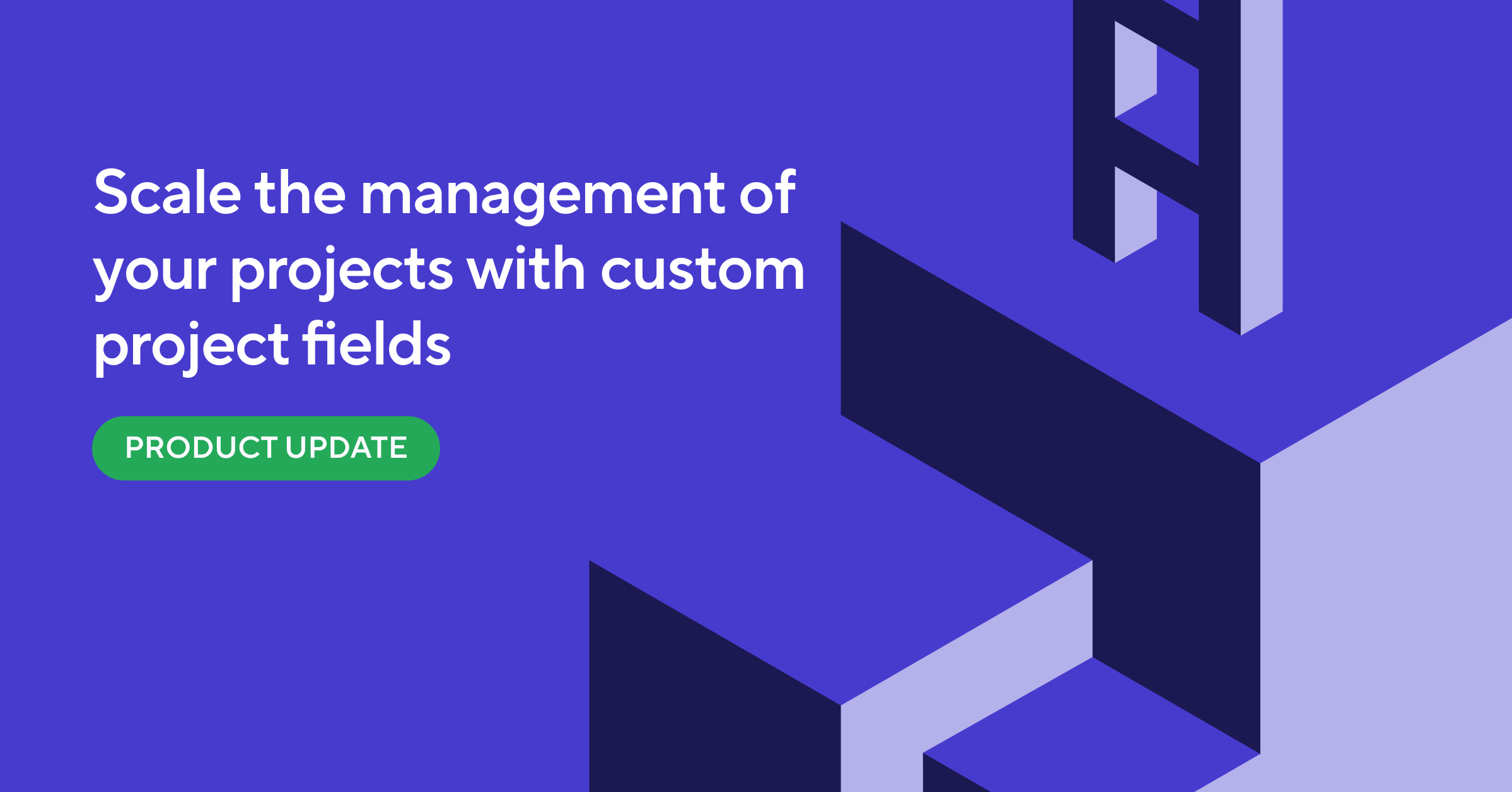 New Feature: Create Custom Project Fields to Organize Your Projects
